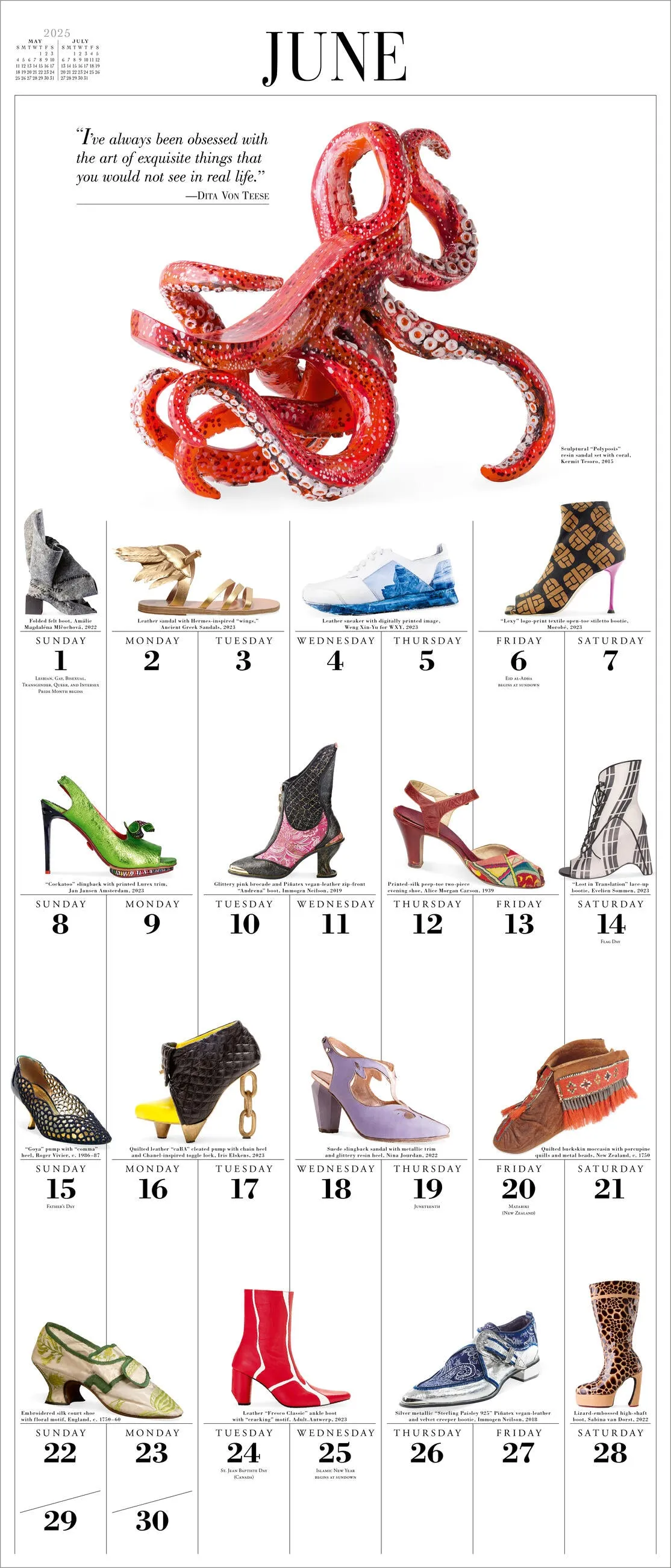 2025 365 Days of Shoes Picture-A-Day Wall Calendar