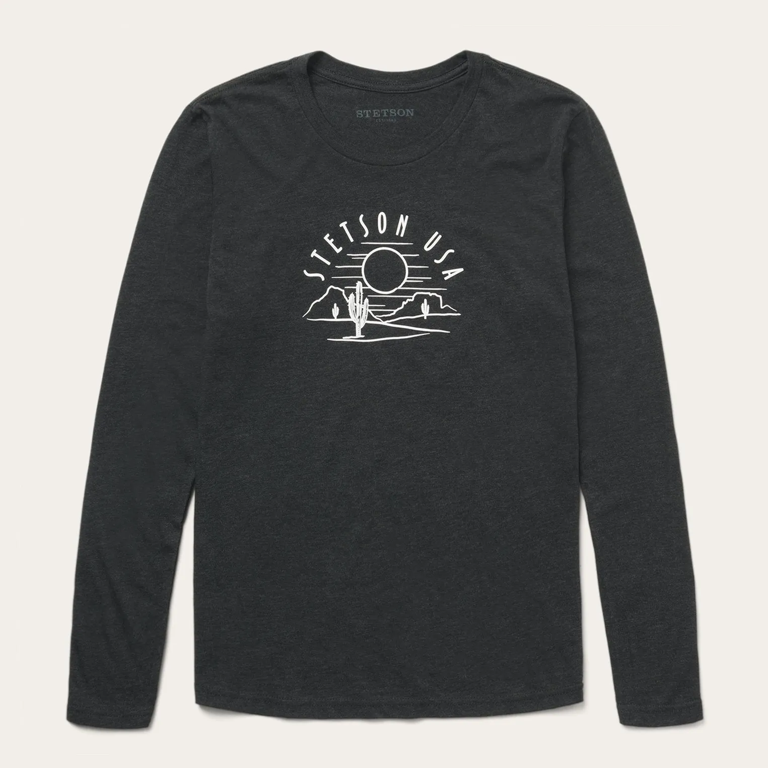 Cactus And Sunset Graphic Tee