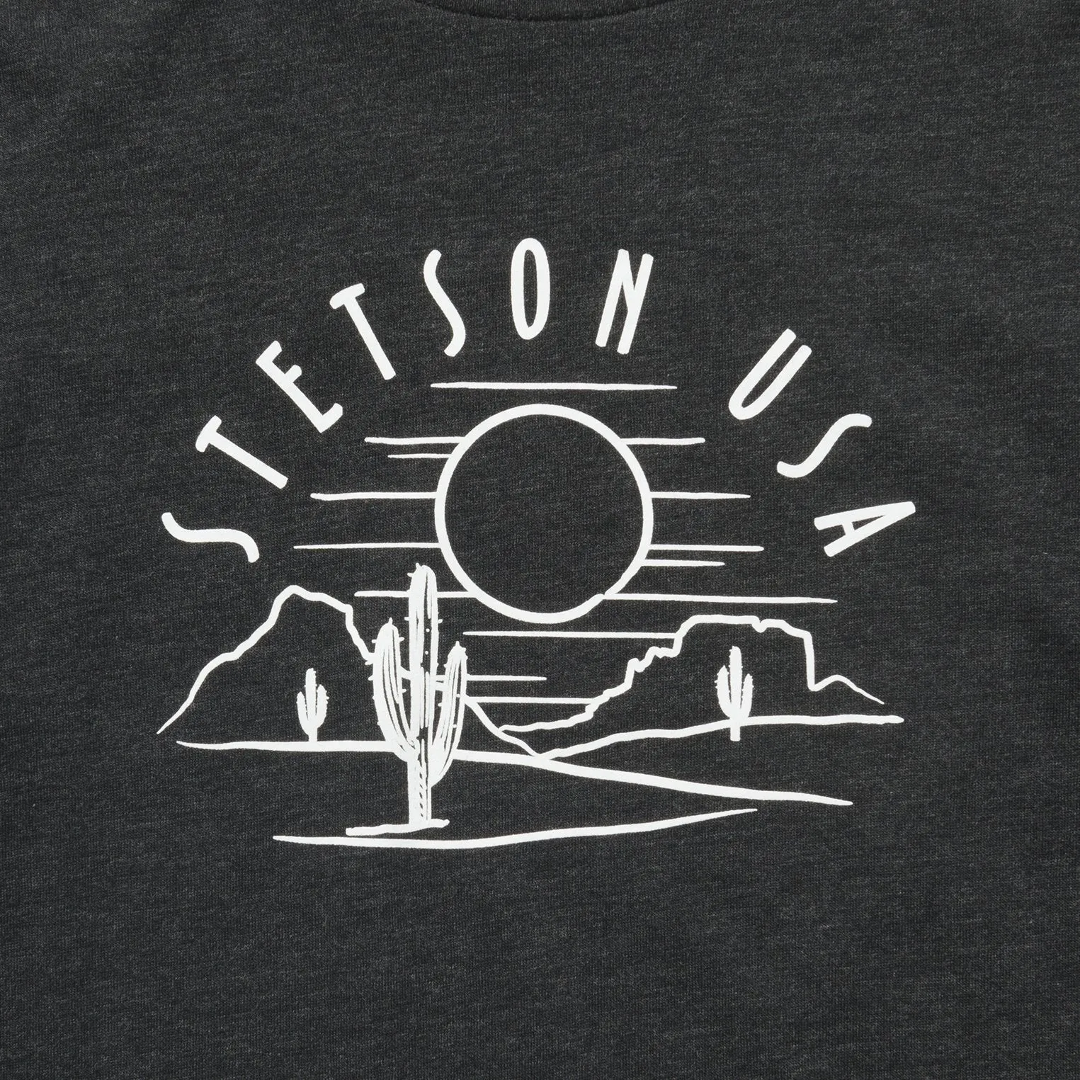 Cactus And Sunset Graphic Tee